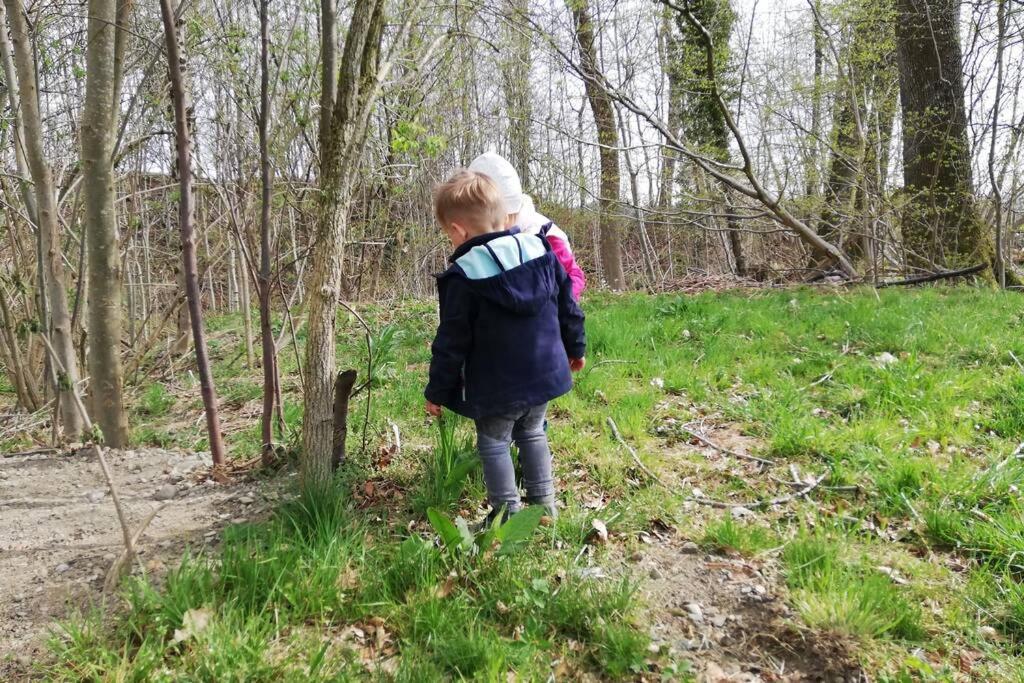 5Sterne Ferienwohnung Im Fachwerk Mit Bergblick In Alleinlage Und Grossem Garten, Infrarotkabine Humberg Bagian luar foto