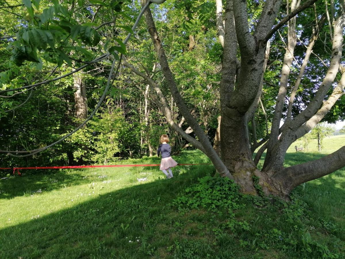 5Sterne Ferienwohnung Im Fachwerk Mit Bergblick In Alleinlage Und Grossem Garten, Infrarotkabine Humberg Bagian luar foto