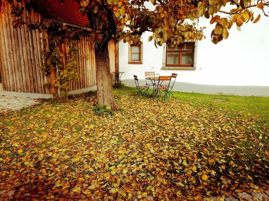 5Sterne Ferienwohnung Im Fachwerk Mit Bergblick In Alleinlage Und Grossem Garten, Infrarotkabine Humberg Bagian luar foto