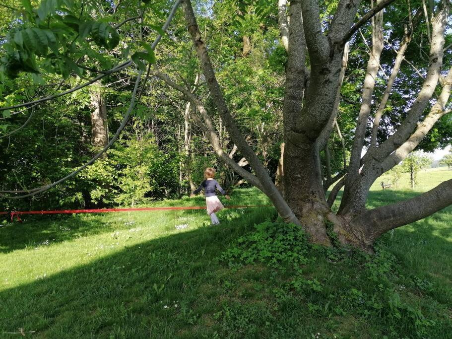 5Sterne Ferienwohnung Im Fachwerk Mit Bergblick In Alleinlage Und Grossem Garten, Infrarotkabine Humberg Bagian luar foto