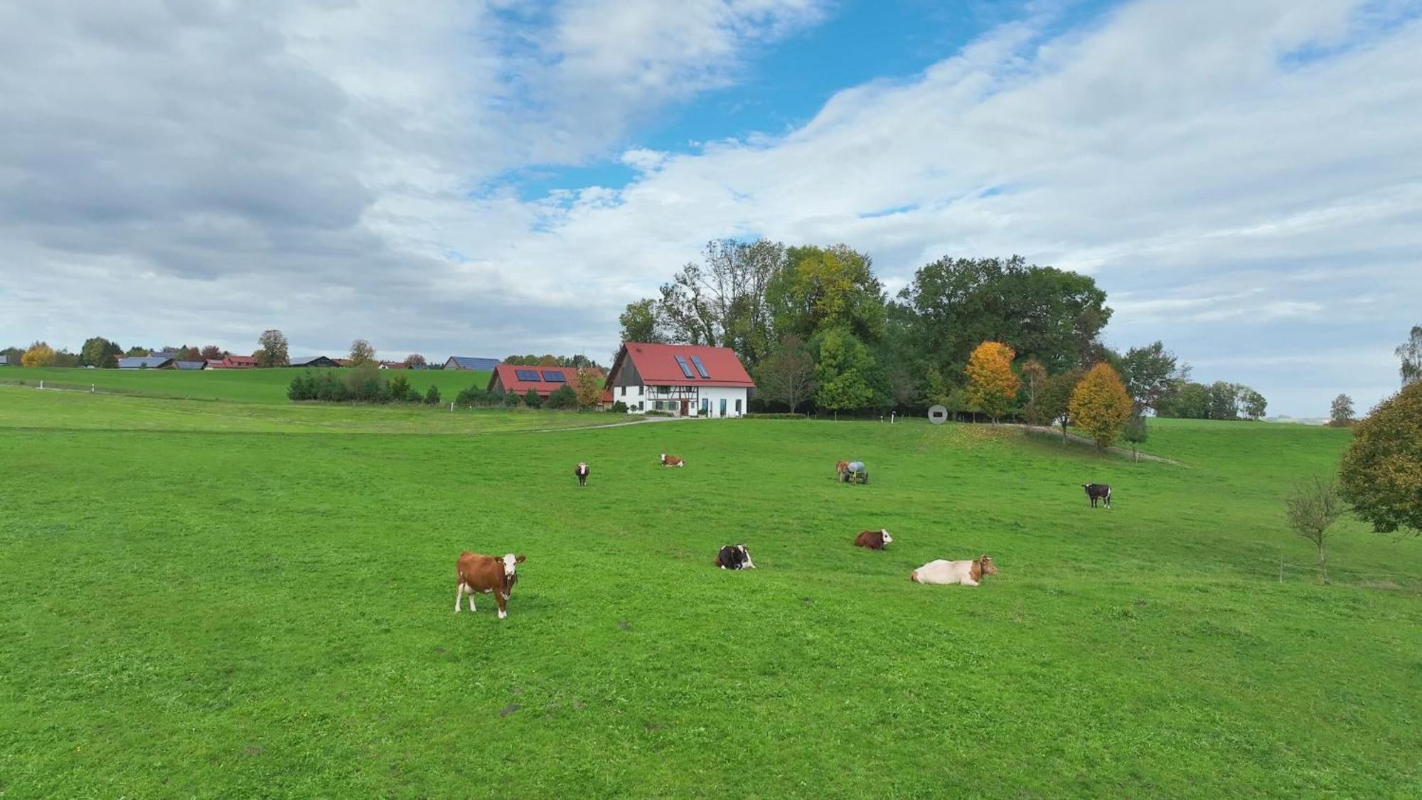 5Sterne Ferienwohnung Im Fachwerk Mit Bergblick In Alleinlage Und Grossem Garten, Infrarotkabine Humberg Bagian luar foto